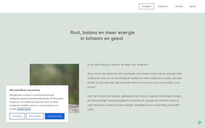 Screenshot of annevissers.be