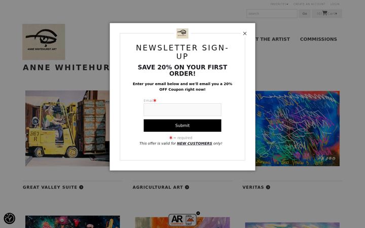 Screenshot of annewhitehurstart.com