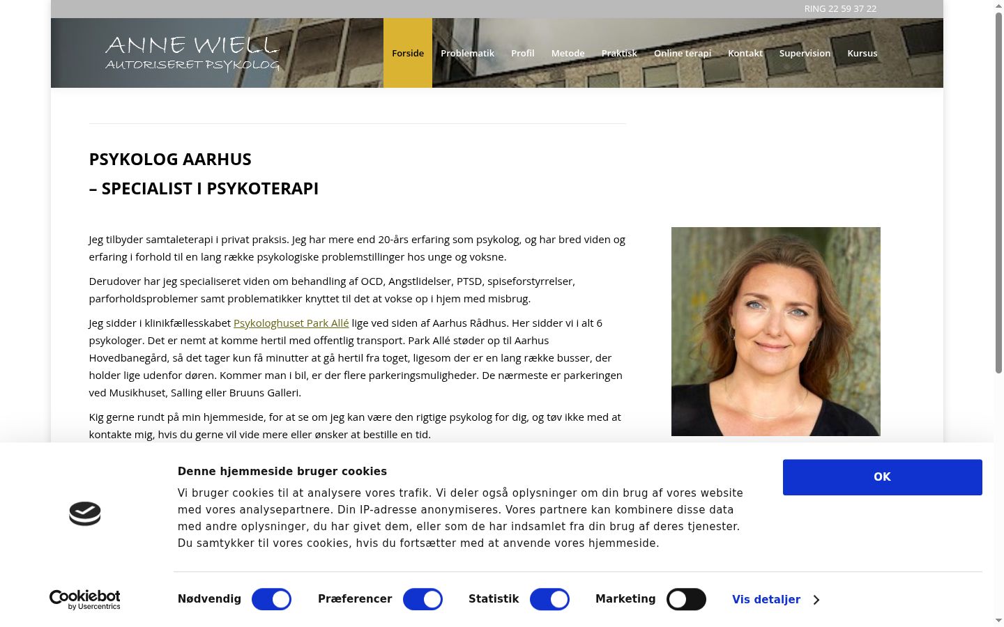 Skærmbillede af samtykkebanneret, som det blev vist før nogen interaktion