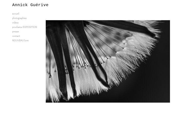 Screenshot of annickguerive.com