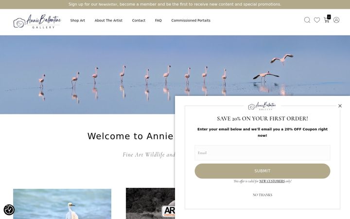 Screenshot of annieballantinegallery.com