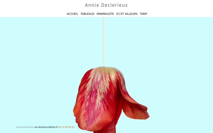 Screenshot of anniedeclerieuxphotographe.com