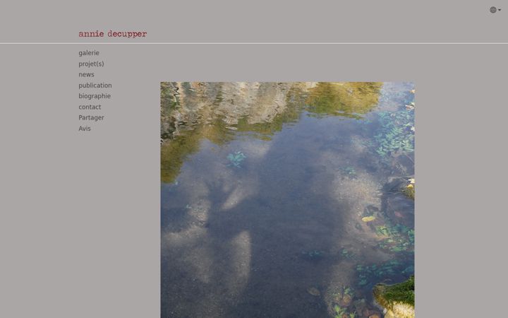 Screenshot of anniedecupper.com