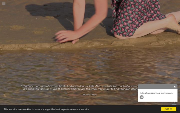 Screenshot of annierapstoff.com