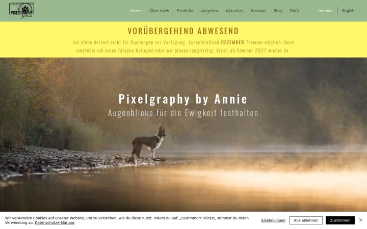 Screenshot του anniespixelgraphy.com