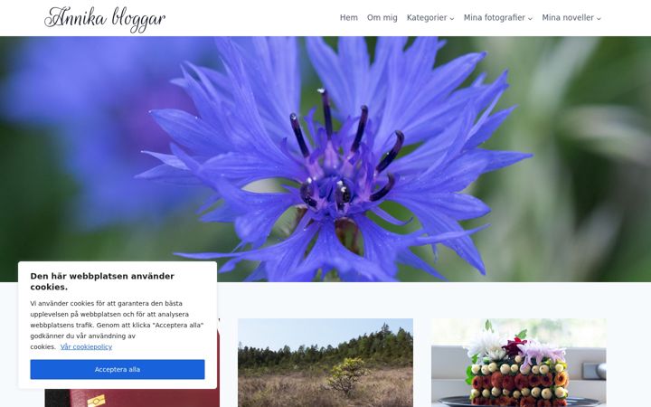 Screenshot of annikabloggar.se