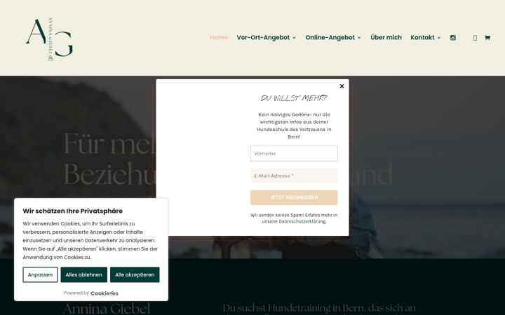 Screenshot of anninagiebel.ch