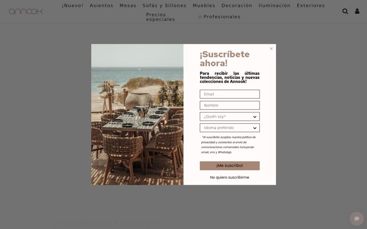 Screenshot of annook.com