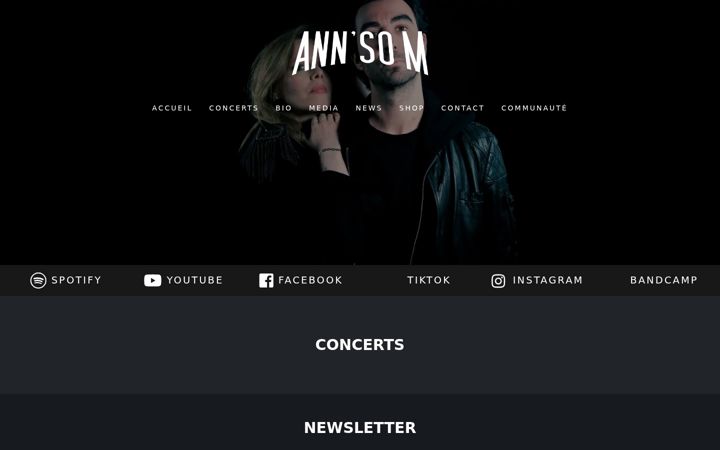 Screenshot of annsom.com