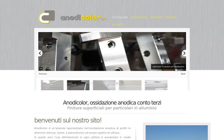 Screenshot of anodicolor.it