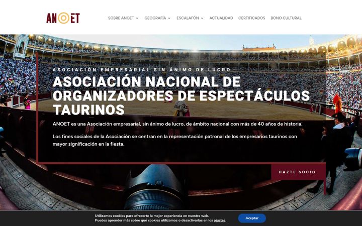 Screenshot of anoet.com