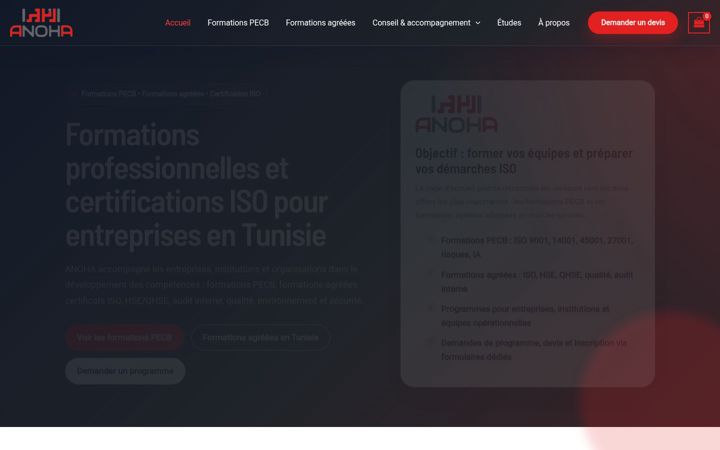 Screenshot of anoha.com.tn