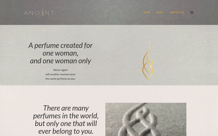 Screenshot of anoint.co.za