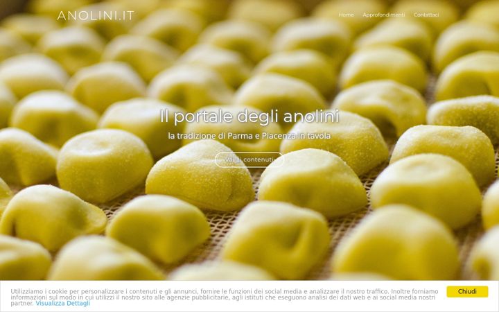 Screenshot of anolini.it