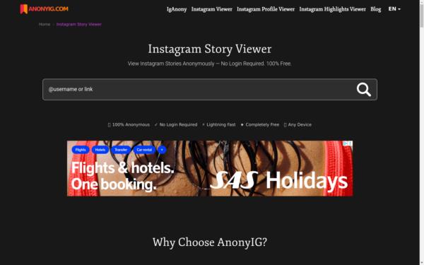 Screenshot of anonyig.com