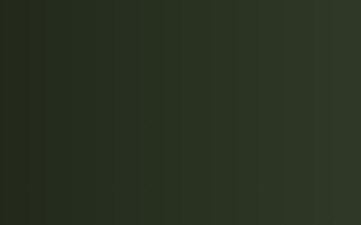 Skærmbillede af anonym-art.com