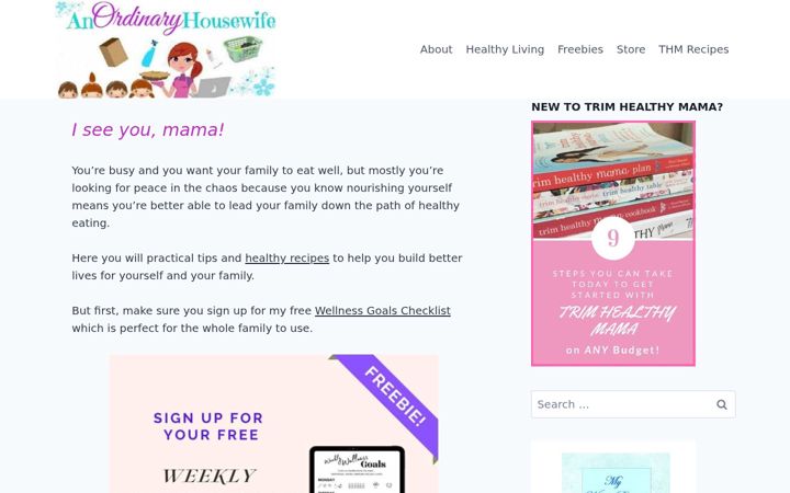 Skjermbilde av anordinaryhousewife.com