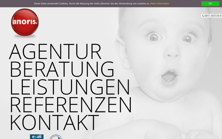 Screenshot of anoris.de