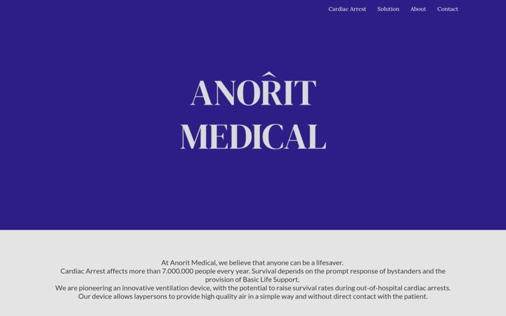 Screenshot of anoritmedical.com