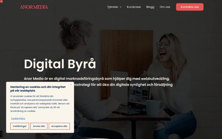 Screenshot of anormedia.se