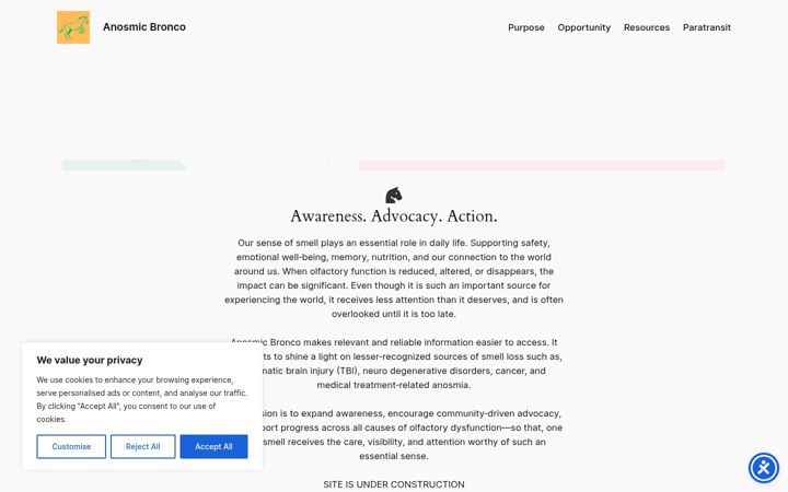 Screenshot of anosmicbronco.com