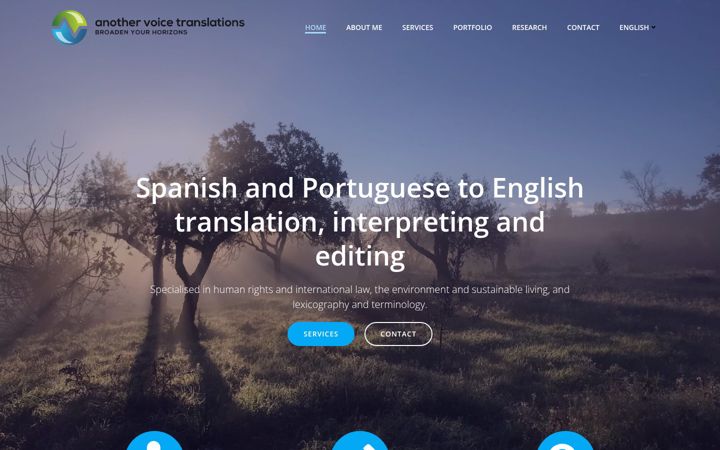 Screenshot of anothervoicetranslations.co.uk