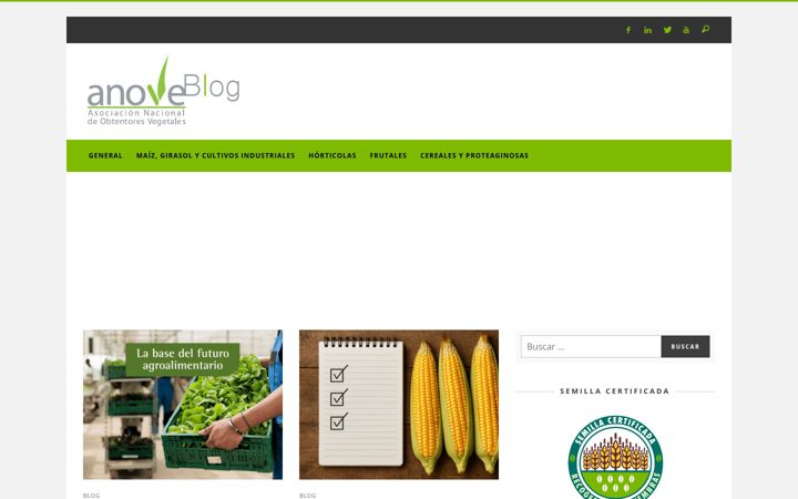 Screenshot of anoveblog.es