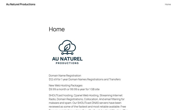 Screenshot of anp-inc.us