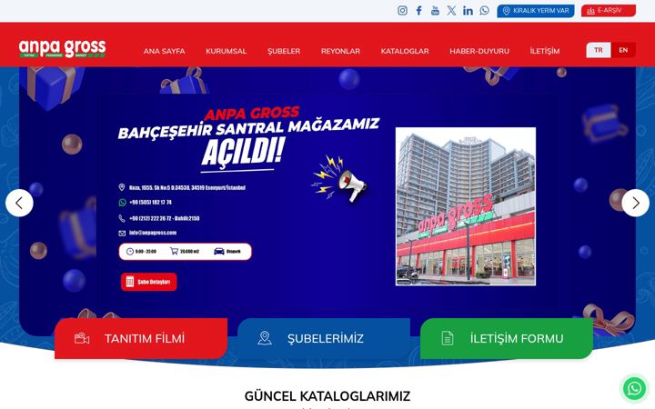 Snimka zaslona za anpagross.com