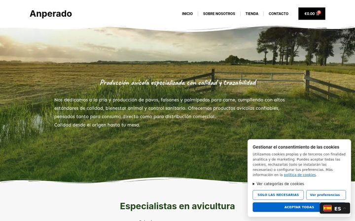 Screenshot of anperado.com