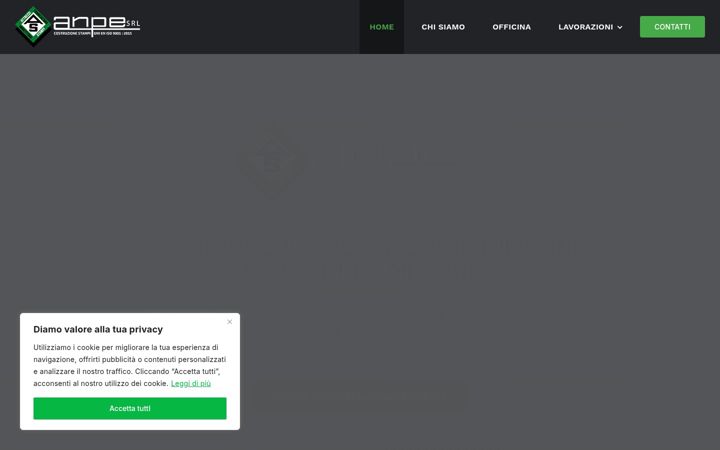 Screenshot di anpesrl.it