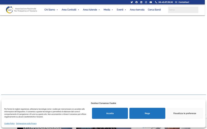 Screenshot of anpit.it