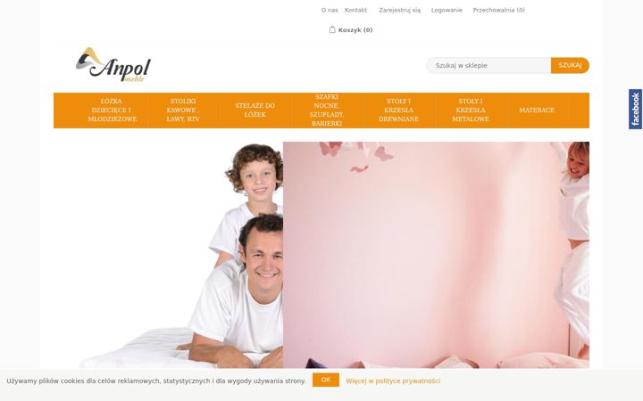 Screenshot of anpol-meble.pl