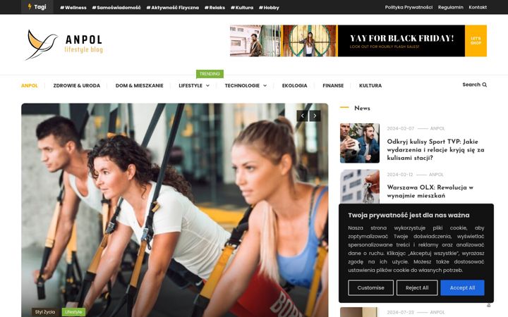 Screenshot of anpol.net.pl