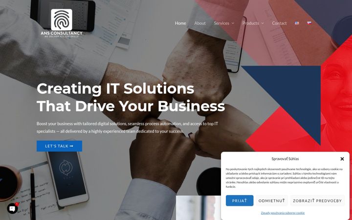 Screenshot of ans-consultancy.com