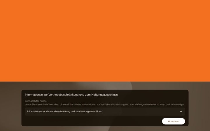Screenshot von ansa.de
