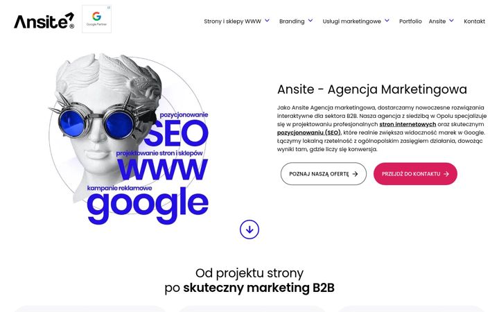 Screenshot of ansait.pl