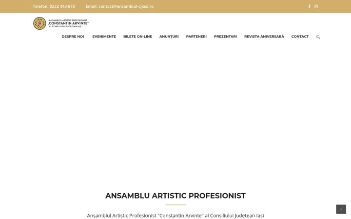 Screenshot of ansamblul-cjiasi.ro