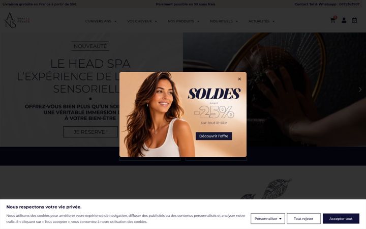 Zrzut ekranu ansbrasil.com