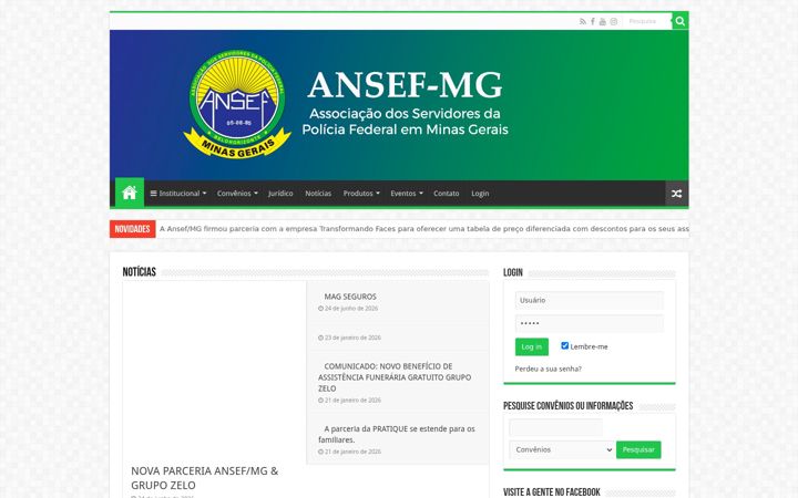 Screenshot of ansefmg.org.br