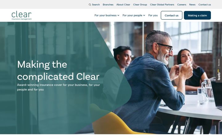Screenshot of ansell.co.uk