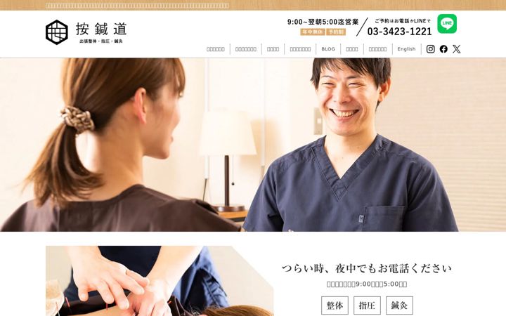 Screenshot of anshindo-seitai.com