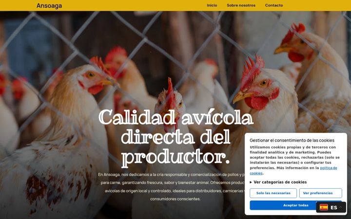 Screenshot of ansoaga.com