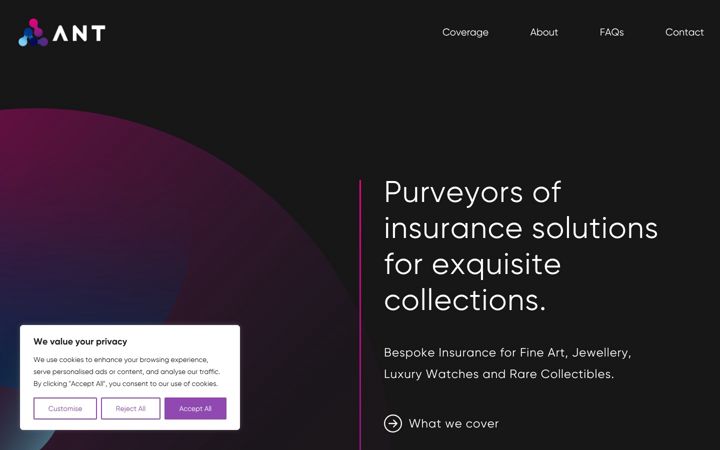 Screenshot of ant-insure.com