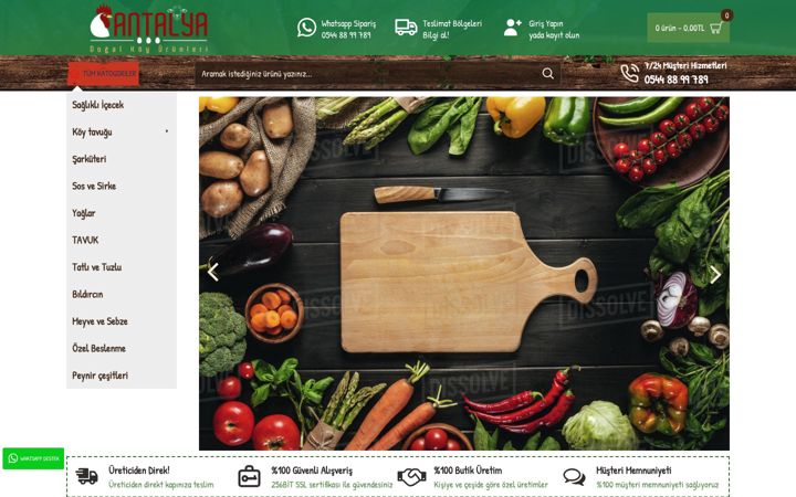 Screenshot of antalyadogalurun.com