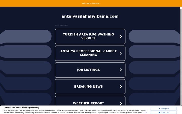 Screenshot of antalyasilahaliyikama.com