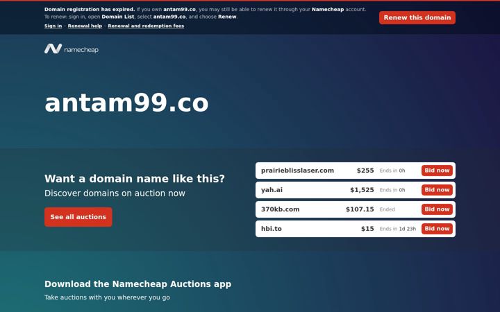 Screenshot of antam99.co