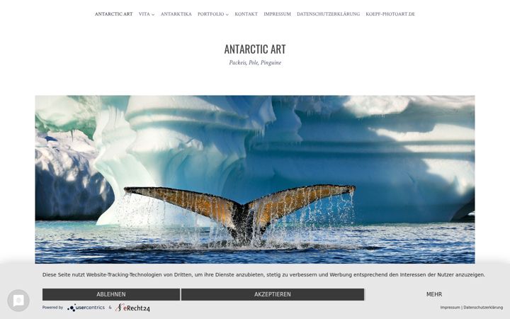 Kuvakaappaus sivustosta antarctic-art.de