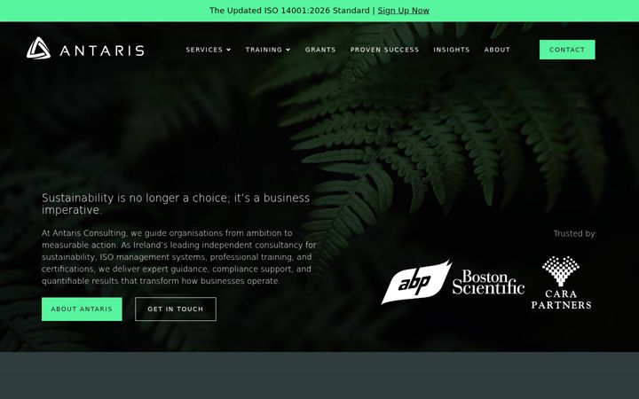 Screenshot of antarisconsulting.com