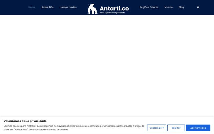 Screenshot of antarti.co